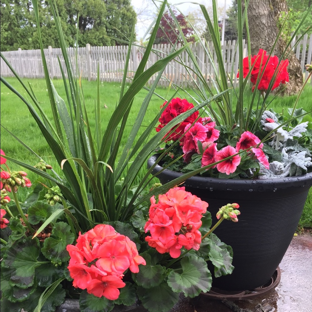 Meet your Posher, Diane